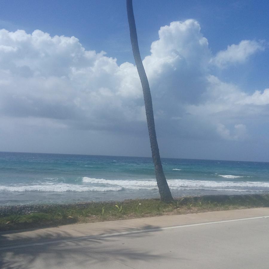 Apartahotel Miramar San Andrés Szoba fotó